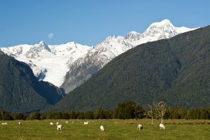 02Jun2015110649Fox Glacier 1.jpg